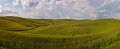 [Group 2]-Panovaldorcia_020_Panovaldorcia_025-6 images
